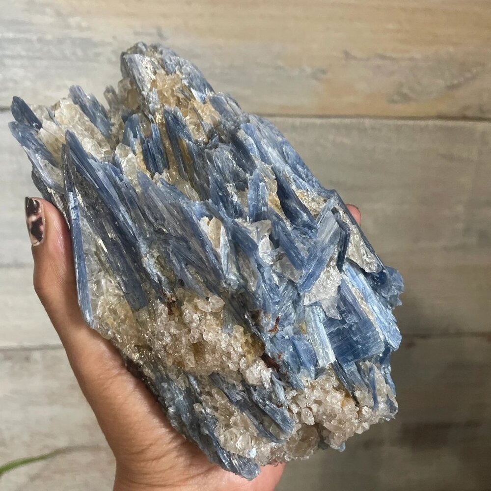 Jumbo Blue Kyanite in Quartz Specimen (3lbs 14oz)